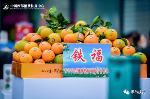 聚力消費扶貧高地，答好疫情加試題——重慶奉節初級農產品突圍紀實